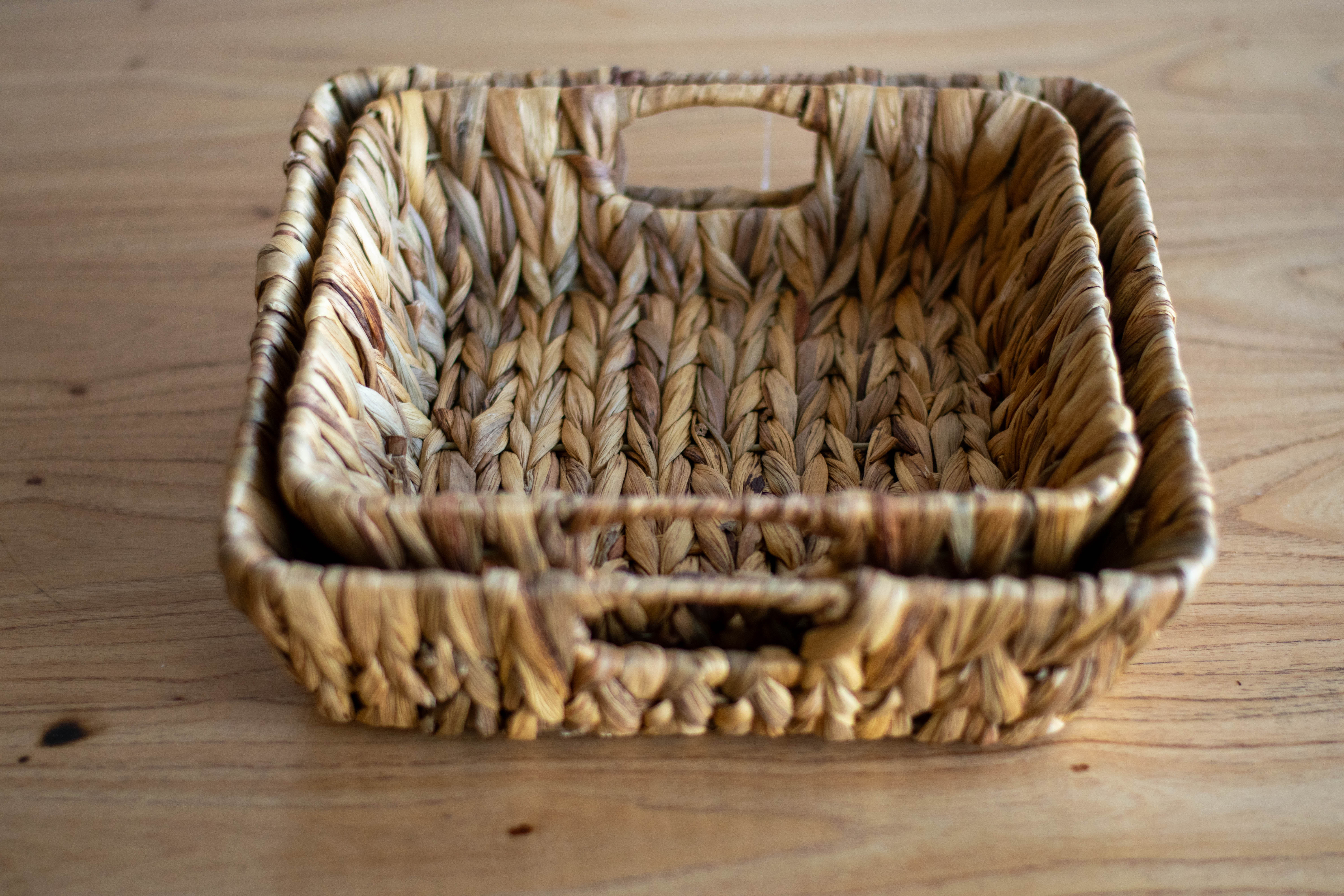 Bandeja line grass  (chico)